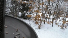 Интересни факти за сајтовите