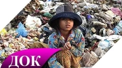 Интересни факти за загадувањето на животната средина