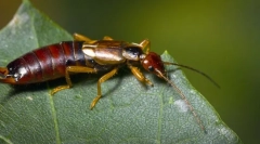 Интересни факти за жителите