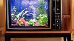 Аквариум уметност