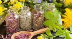 Ефективна руска трогажност од паразити