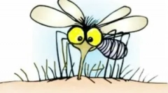 Ефективни комарци dischargers