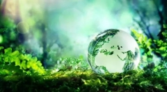 Екосистем: компоненти, структура, енергетски синџири