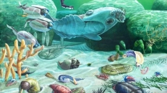 Еволуција на дивиот свет