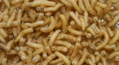 Бидејќи ларвата месо муви се третираат повредени?