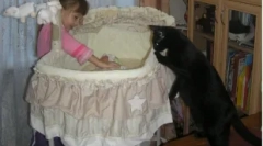 Како мачката го зема на новороденче