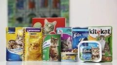 Како да се преведе мачка на сува храна со други видови на храна