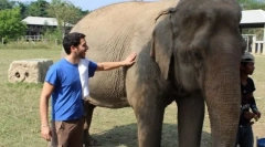 Како скроти азиски слон