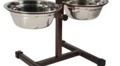 Како да се однесуваат со куче кое го зеде од засолништето