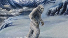 Како изгледа снешко?