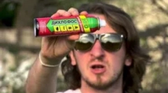 Како да се донесе дома болви во станот