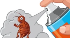 Како да се донесе земјата болви од дома?