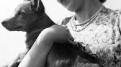 Каква раса на куче во англиската кралица