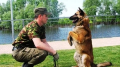 Цинолог или сопственик