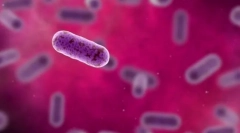 Кејџ - генетска единица на живеење