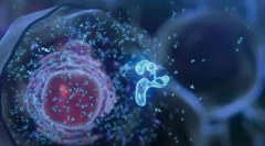 Ќелија - основа на животот