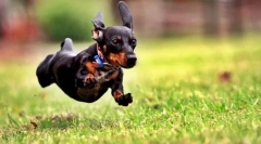 Тимот за мене!