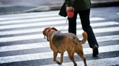 Тим во близина на!