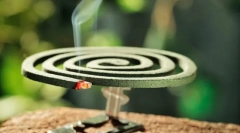 Комарци на градината парцела и во градината