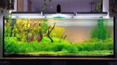 Компресор за аквариум со свои раце: упатства за производство на чекор-по-чекор