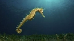 Вид на морето