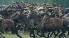 Коњите се борат