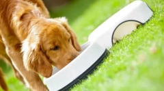 Purina pro план куче храна: премиум класа подготвена