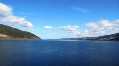 Кој живее во база на езеро?