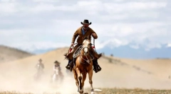 Кои се такви каубои?