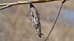 Кои се такви вреќи?