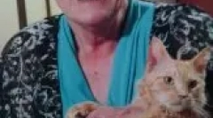 Ла перм: карактеристики на кадрава мачки