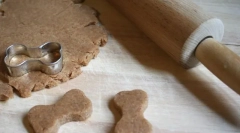 Parehomas за кучиња (5 рецепти за секој вкус)