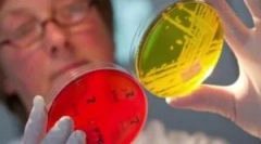 Третман на ентеробиоза кај деца и возрасни