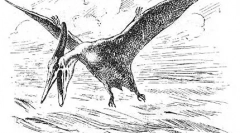 Летечки гуштери