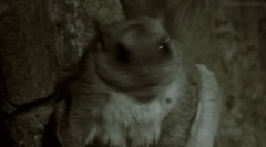 Писма: интересни факти за битката протеини