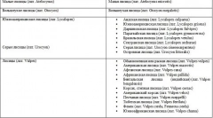 Фокс - опис, видови каде што живеат