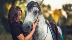 Коњи за слободно време