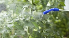 Топ алатки од tlima на растенија