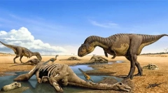 Крезниот период