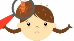 Мерки за превенција на педикулоза