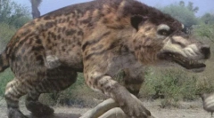 Месонихови