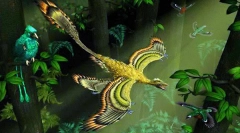 Микросферо