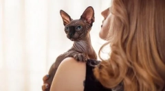 Cutie или солени: како изгледот на мачката за да се одреди карактерот