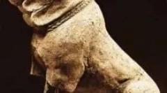 Молостро - кој се: преглед на раса на кучиња