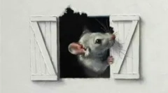 Глувци во ѕидовите на дрвена и свиткана куќа