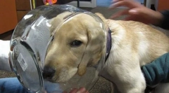 Најчести несреќи