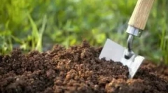 Инсекти штетници кои живеат во земјата