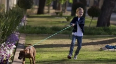 Влечење и поводник