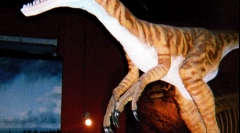 Не-индикатор