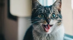 Нервен систем